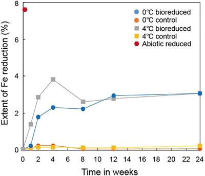 A microbial driver of clay mineral weathering and bioavailable Fe source under low-temperature conditions